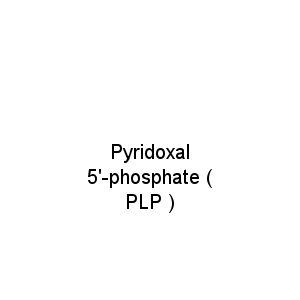 Pyridoxal 5'-phosphate ( PLP )